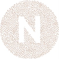 Groupe Nell logo - Similar company to Charm & More