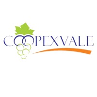 Coopexvale logo - Similar company to C & D Contabilidade