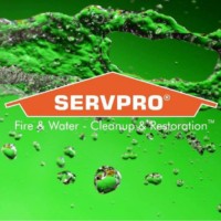 SERVPRO Team Reilly logo - Similar company to Servpro Team Spinner