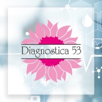 Diagnostica 53 S.r.l. logo - Similar company to Rik-Fer S.R.L.