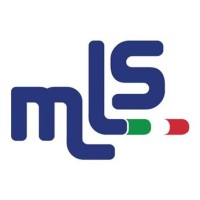 Mechanical Line Solutions Srl logo - Similar company to Qb Srl