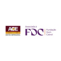 ACE Consulting logo - Similar company to Reinaldo Cafeo | Inteligência Em Negócios