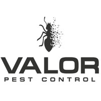 Valor Pest Control, Llc