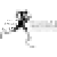 The Richard Whitehead Foundation logo - Similar company to Festival Internacional Por La Diversidad Sexual (Fids)