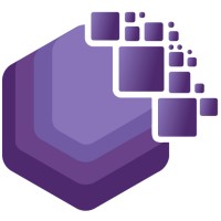 Blind Insight logo - Similar company to Ciosoft