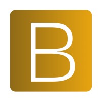 B Systems logo - Similar company to Secureark