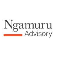 Ngamuru Advisory logo - Similar company to Concept Six