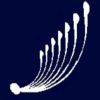 Creative Structures logo - Similar company to Signature Engineered Solutions