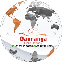 Gauranga Study Abroad Consultants Pvt Ltd logo - Similar company to 2Solution