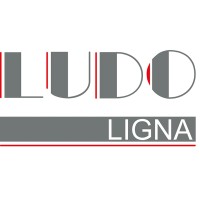 Ludo Ligna logo - Similar company to Careuk247
