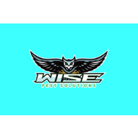 Wise Pest Solutions logo - Similar company to Protec Pest Control Ltd