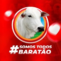 Somos Todos Baratão! ❤️ logo - Similar company to Cra-Am | Conselho Regional De Administração Do Amazonas