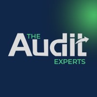 The Audit Experts logo - Similar company to Techinstra