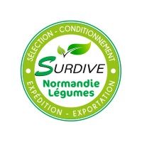 SURDIVE logo - Similar company to Monkey First