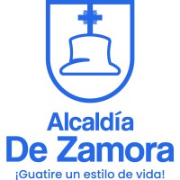 ALCALDIA DE ZAMORA logo - Similar company to Cybertech Projects