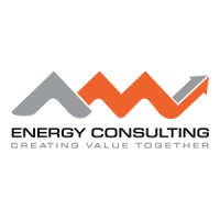 AM Energy Consulting logo - Similar company to Modulelwa