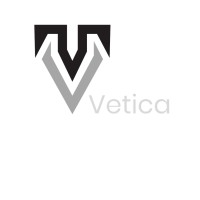 Vetica Systems logo - Similar company to Z3 Info Systems