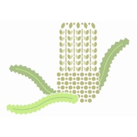 Davidson Design Studio Pty Ltd logo - Similar company to Continuum Facades