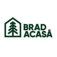 BradAcasa logo - Similar company to Artitree