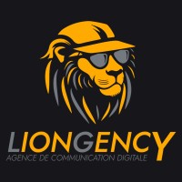 LIONGENCY 🦁 Agence de communication digitale logo - Similar company to Existe En Ciel
