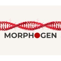 Morphogen Bioscience logo - Similar company to Morphogen