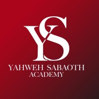 YS ACADEMY logo - Similar company to Dscover