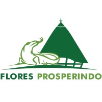 Flores Prosperindo logo - Similar company to Sinobuilders-Shanghai Hongxinyue Industry And Trade Co., Ltd