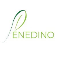 Penedino logo - Similar company to Mtc | Martinvas