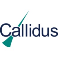 Callidus Process Solutions logo - Similar company to Score Group