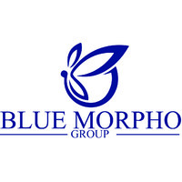 Blue Morpho Group logo - Similar company to Capillary Consulting Inc.