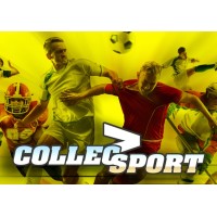 COLLECSPORT logo - Similar company to Agil-Solutions
