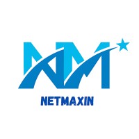 NETMAXIN GROUP logo - Similar company to Turn2Web