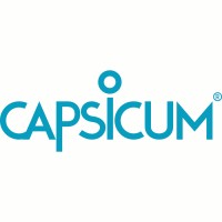 CAPSICUM Business Architects logo - Similar company to Hiiro