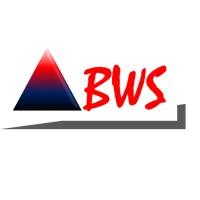 BWS Consulting - Accounting & Tax Consultant logo - Similar company to V2C Consultant