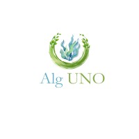 ALGUNO logo - Similar company to Ur Ed