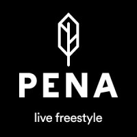 PENA logo - Similar company to Structek - Engenharia Estrutural