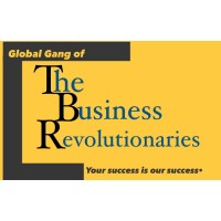 The Business Revolutionaries logo - Similar company to Docqtech Solutions (Pty) Ltd.