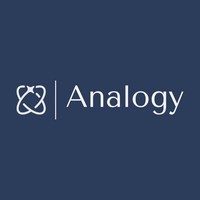 Analogy logo - Similar company to Decoded