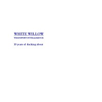 WHITE WILLOW CONSULTING LIMITED logo - Similar company to Vesos Solutions Ltd