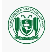 UNIVERSIDAD VALLE DEL BRAVO logo - Similar company to South Desert Studio - Fields