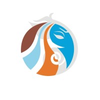 Devsristi Group logo - Similar company to Pi Software Solutions Inc.