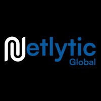 Netlytic Global logo - Similar company to Creative Solutions & Co.