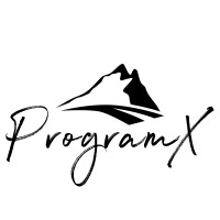 ProgramX logo - Similar company to Programmx