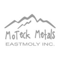 East Molybdenum & Rhenium Rare Materials Co., Ltd. logo - Similar company to Luoyang Combat Tungsten & Molybdenum Material Co., Ltd.