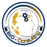BxO-Consulting logo - Similar company to Bxo Solutions Ab