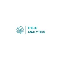 THEJU ANALYTICS PRIVATE LIMITED logo - Similar company to Jochebed Tech Solutions