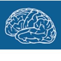 Big Brain Intelligence