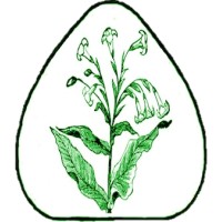JME GROUP Inc logo - Similar company to Vtesse, Inc.