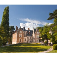 Château du Clos Lucé - Parc Leonardo da Vinci logo - Similar company to Château Royal De Blois