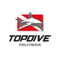 TOPDIVE logo - Similar company to Polynesia Pulse